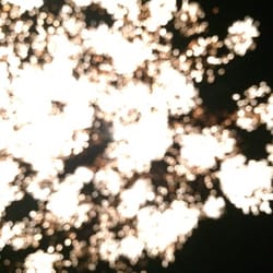 Half Off Fireworks - New for 2015