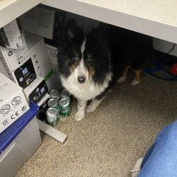 Willow Park Animal Clinic