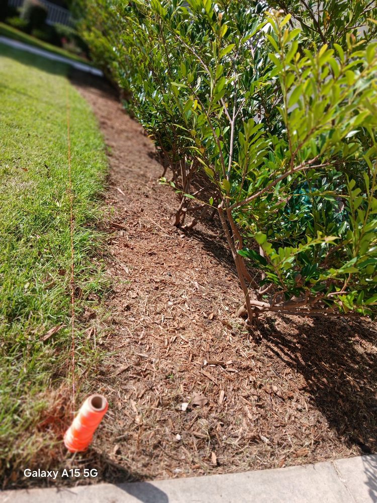 All Around Landscaping Services - tree service in Johns Island, SC