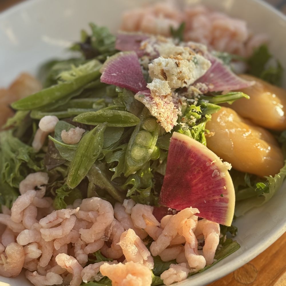 Ray's Café - Smoked Scallop Salad - Seafood Near Me - Seattle, Washington Ray's Café - Smoked Scallop Salad - Seafood Near Me - Seattle, Washington
