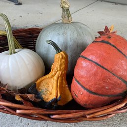 a basket of pumpkins and gourds