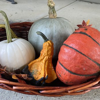 Oakland Nursery - a basket of pumpkins and gourds - Nurseries & Gardening Near Me - Dublin, Ohio