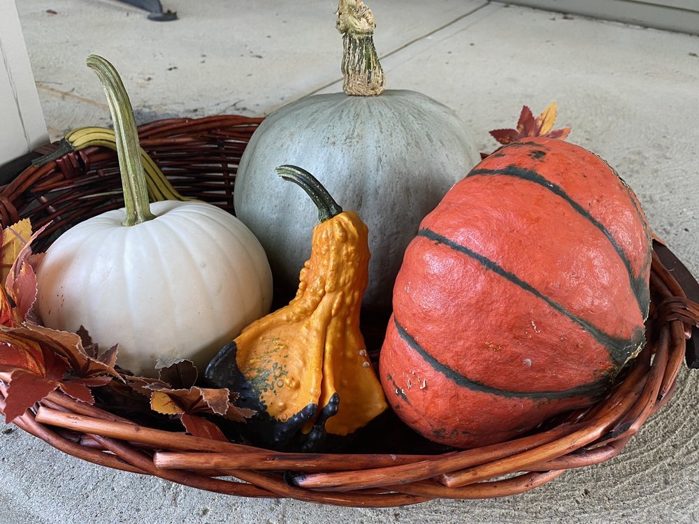 OAKLAND NURSERY 45 Photos & 48 Reviews 4261 W DublinGranville Rd