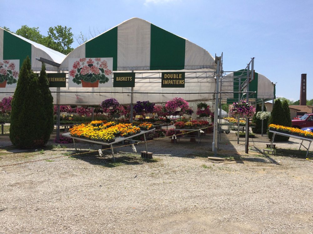 Blocks Garden Center Romulus Mi at Tommy McGhee blog
