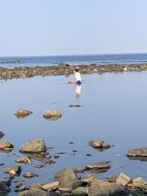 Jenness State Beach by null