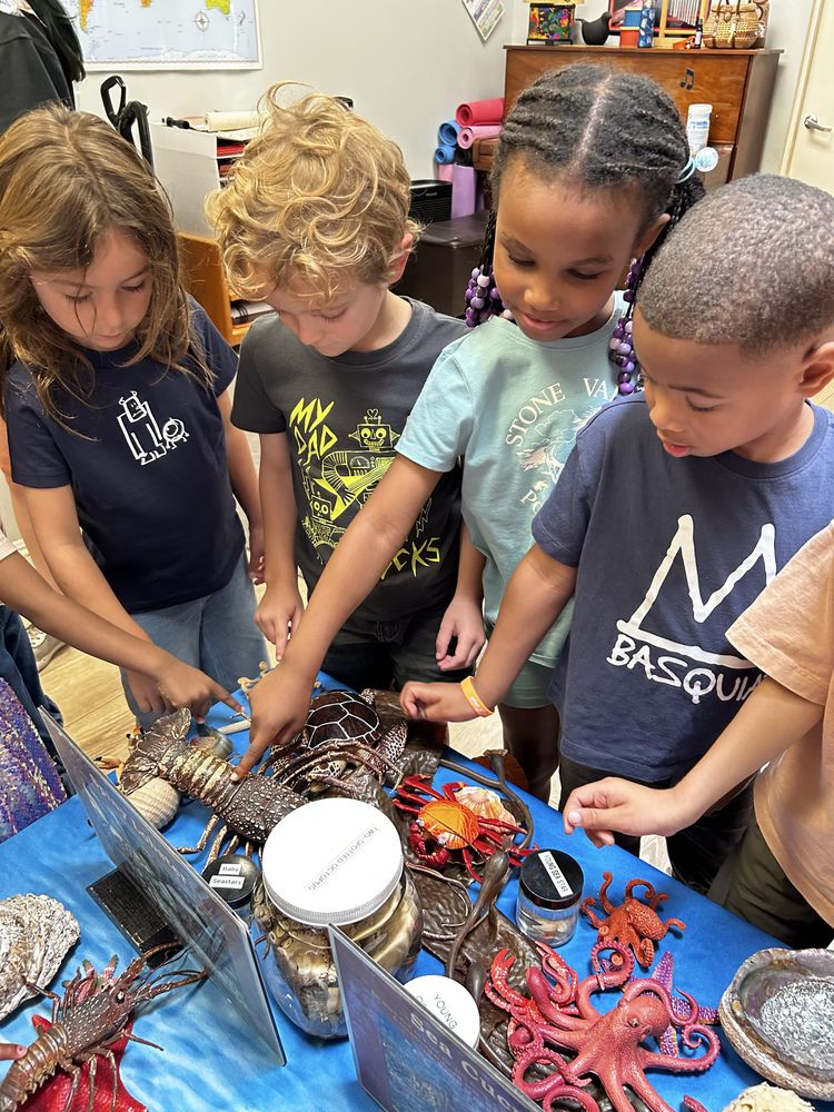 Montessori Academy Of Culver City - childcare center in Culver City, CA