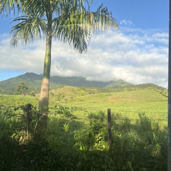 Tours Hacker - Walking Tours Near Me - Corozal, Puerto Rico