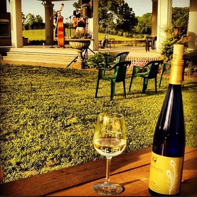 Narmada Winery by null