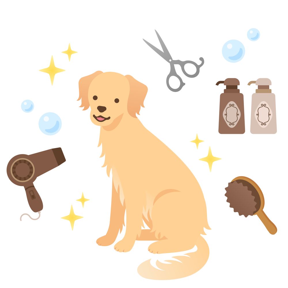 MAGIC PET SPA 73 Photos & 47 Reviews 15435 Jeffrey Rd, Irvine, California Pet Groomers