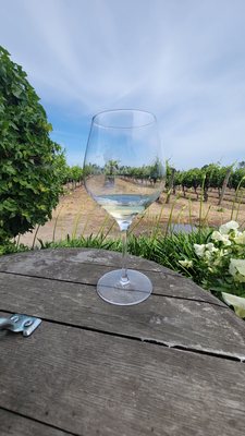 Hanna Winery by null