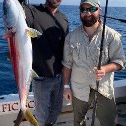 Pacific Bounty Sportfishing - Yellowtail Fishing Coronado Islands