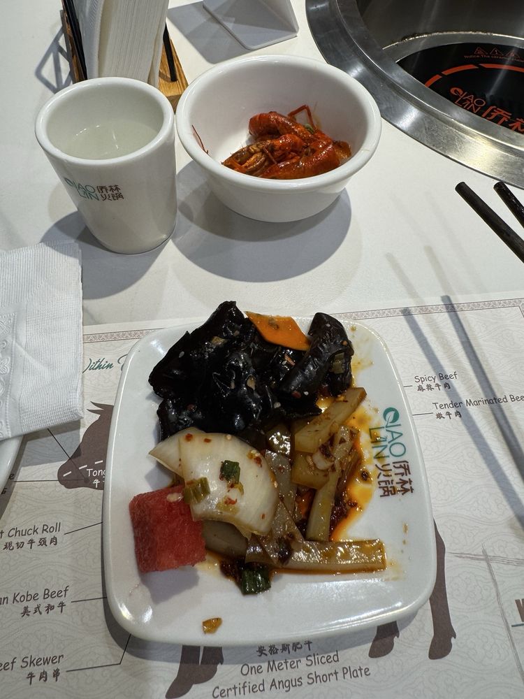 Qiao Lin Hotpot - Chicago Downtown