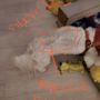 Photo of Clean Paws Pet Salon & Resort