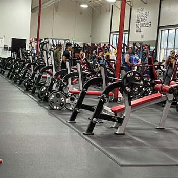 UFC GYM Torrance - Free Weights area - Gyms Near Me - Torrance, California UFC GYM Torrance - Free Weights area - Gyms Near Me - Torrance, California