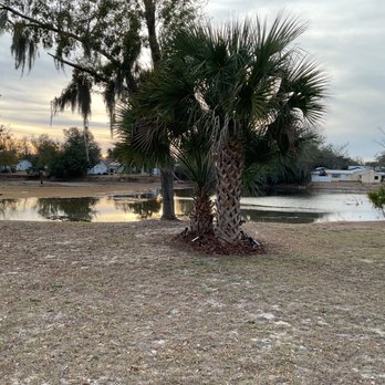Yates Land Management - Backyard - Lawn Services Near Me - Chipley, Florida