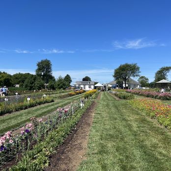 Dollie’s Farm - Flowers & Gifts Near Me - Franklin, Indiana Dollie’s Farm - Flowers & Gifts Near Me - Franklin, Indiana