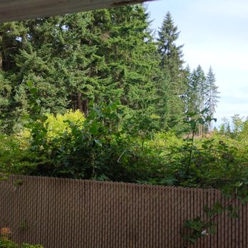 Park Center Apartments - Spectacular backyard view for free :)) - Apartments Near Me - Centralia, Washington Park Center Apartments - Spectacular backyard view for free :)) - Apartments Near Me - Centralia, Washington