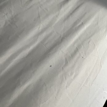 Comfort Inn & Suites - Filthy sheets - Hotels Near Me - Slidell, Louisiana