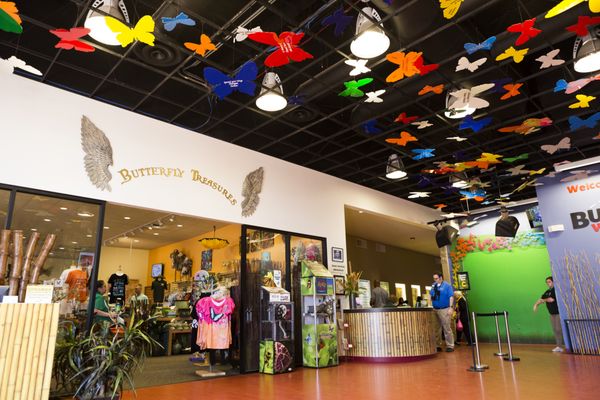 Butterfly Wonderland by null