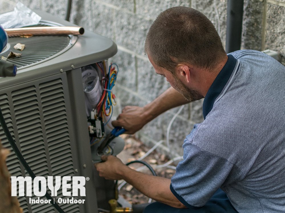 Slide of Moyer Pest Control