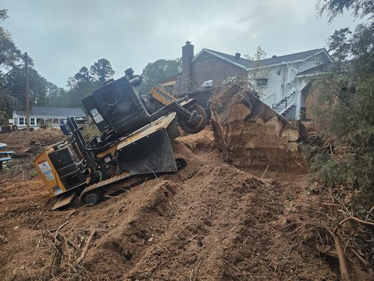 DROP ZONE TREE SERVICE AND LANDSCAPING - Updated April 2026 - 44 Photos ...