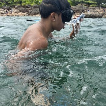 Shark's Cove - Beaches Near Me - Haleiwa, Hawaii