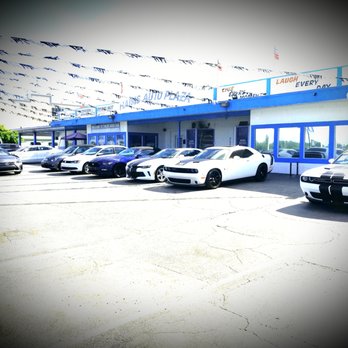 Haims Motors - Outside - Used Car Dealers Near Me - Hollywood, Florida Haims Motors - Outside - Used Car Dealers Near Me - Hollywood, Florida