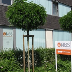 NBS Northern Business School
