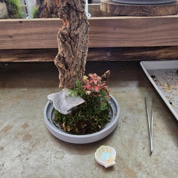 Jungle Box Studio - Building up - Art Classes Near Me - Los Angeles, California