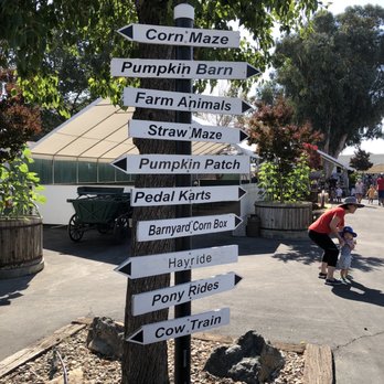 G&M Farms - Lots of activities on the farm - Attraction Farms Near Me - Livermore, California G&M Farms - Lots of activities on the farm - Attraction Farms Near Me - Livermore, California