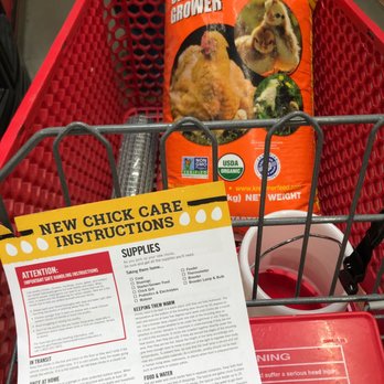 Tractor Supply - Getting ready for my new chicks - Farming Equipment Near Me - American Canyon, California Tractor Supply - Getting ready for my new chicks - Farming Equipment Near Me - American Canyon, California