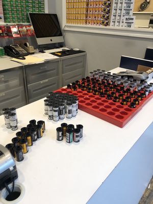 The Color House New York by null