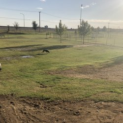 Waggin' Tails Dog Park - Large, grassy L-shaped area for big dogs.