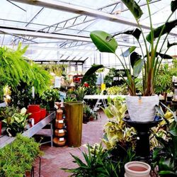 Triple Tree Nurseryland & Florist