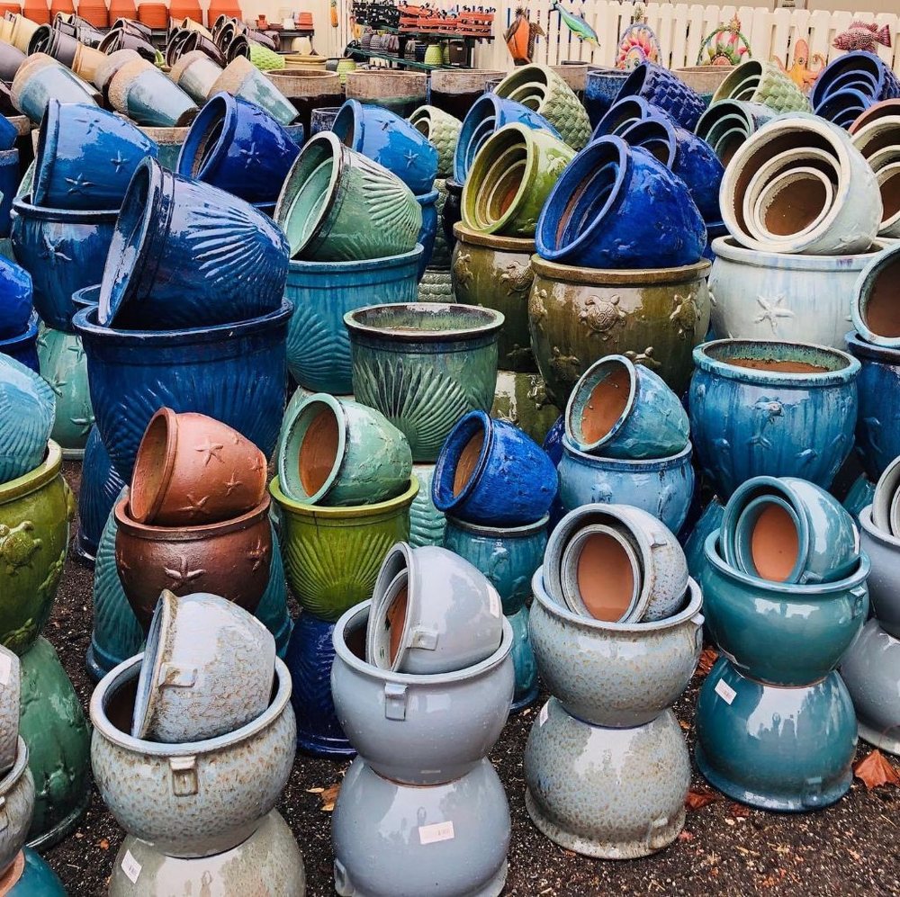 PAT’S NURSERY 62 Photos & 31 Reviews Nurseries & Gardening 7060