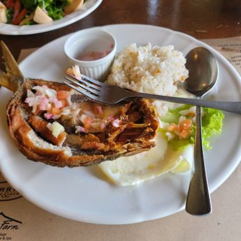 ABE’S FARM - Updated November 2025 - 14 Photos - 98 Livestock Village ...