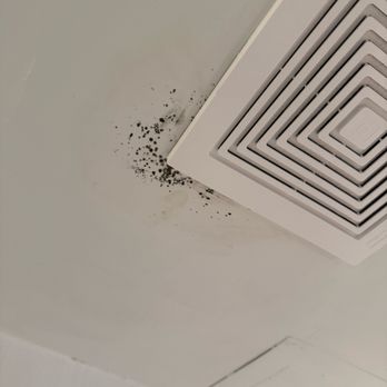 Mondrian South Beach - BLACK MOLD. BE CAREFUL. THIS IS SERIOUS HELATH ISSUE. - Hotels Near Me - South Beach, Florida Mondrian South Beach - BLACK MOLD. BE CAREFUL. THIS IS SERIOUS HELATH ISSUE. - Hotels Near Me - South Beach, Florida