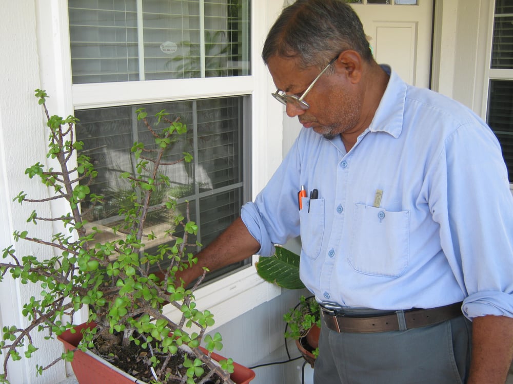 EVERGREEN SPRINKLERS AND IRRIGATION 10767 Magnolia Ave, Anaheim