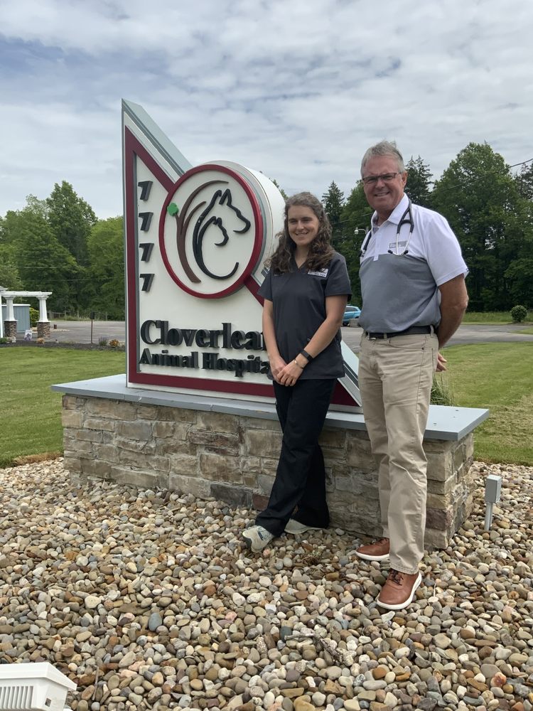 CLOVERLEAF ANIMAL HOSPITAL Updated August 2024 7777 Greenwich Rd
