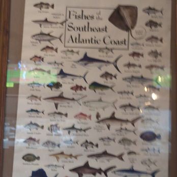 Groupers At the Pier - Seafood Near Me - Myrtle Beach, South Carolina