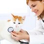 Photo of Animal Hospital Of Milan