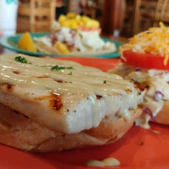 Coconut's Fish Cafe - Kamaole - Mahi Mahi sandwich with ginger Wasabi sauce - Seafood Near Me - Kihei, Hawaii