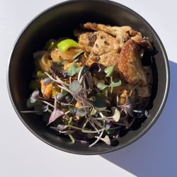Vegetarian Pad Thai with konjac noodles, pan-seared Lionsmane mushrooms, leeks, pasture-raised eggs, and our red rambo radish microgreens