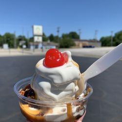Dari-Licious - Turtle sundae