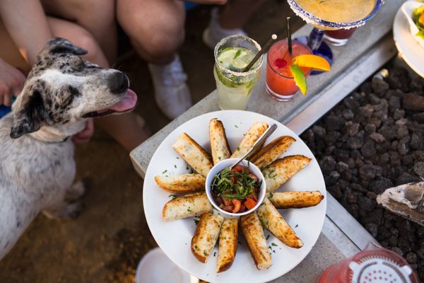 Rock & Brews by null