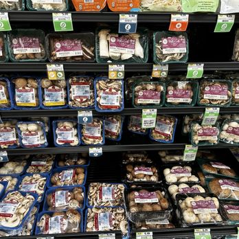 Sprouts Farmers Market - Mushrooms - Farmers Market Near Me - Georgetown, Texas Sprouts Farmers Market - Mushrooms - Farmers Market Near Me - Georgetown, Texas