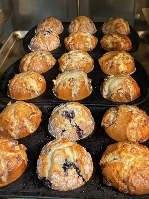 The Bagel Bakery Cafe by null