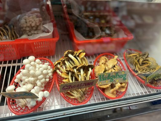 THE mushroom shop by null