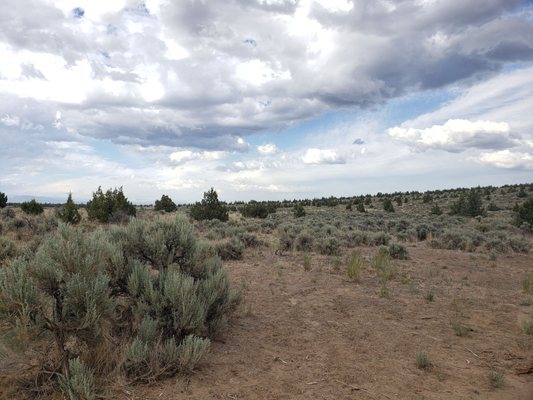 Oregon Badlands Wilderness by null