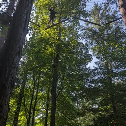 Pocono TreeVentures - Part of the Blue course.